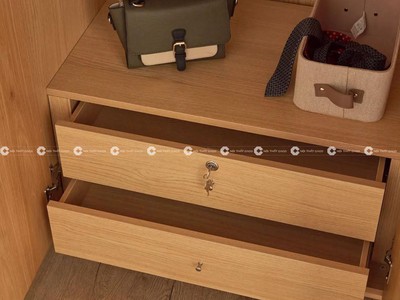 Tủ Quần Áo Gỗ Tự Nhiên Cửa Mở Phối Kính Sang Trọng 0