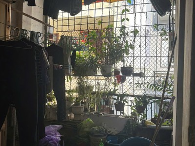 Bán đất tặng nhà 3 tầng mặt đường nguyễn bỉnh khiêm 4
