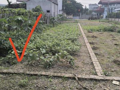 Bán lô đất 129,4m2 5,22m 24,79m tại phúc sơn - mỹ đức - hà nội. 2