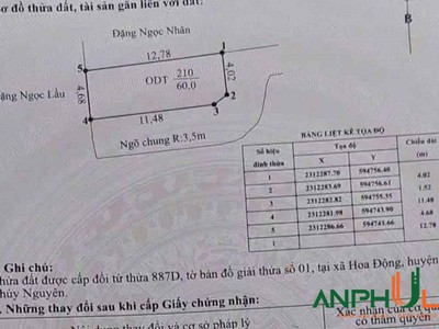Cần bán lô góc 60m2 tại TDP Đường Đá, Phường Thủy Nguyên, TP Hải Phòng 0