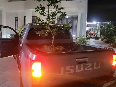 Bán Ô Tô Bán Tải Isuzu D-Max 2014 Tự Động Thái Lan 4