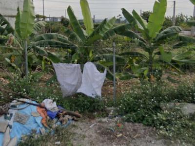 Bán đất Khu chung Nhà máy nước Tân Tiến, An Dương - 128,8m2 - lô áp góc - giá 24 tr/m2 2
