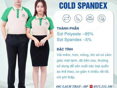 Đồng phục chuẩn 40C - Lạch Tray 0