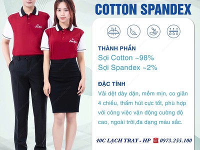 Đồng phục chuẩn 40C - Lạch Tray 1
