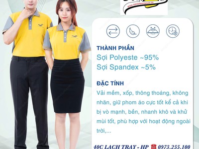Đồng phục chuẩn 40C - Lạch Tray 2