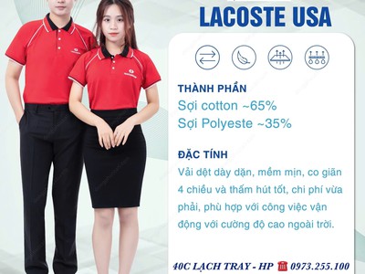 Đồng phục chuẩn 40C - Lạch Tray 2