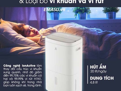 Máy hút ẩm Electrolux EDH10TRBW1 0