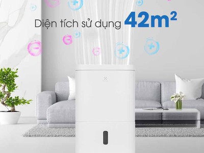 Máy hút ẩm Electrolux EDH10TRBW1 2