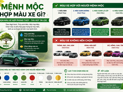 Mệnh Mộc Hợp Màu Xe Gì  Cách Chọn Màu Xe Hợp Phong Thủy Thu Hút Tài Lộc 0