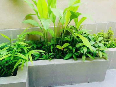 Cho thuê Nhà mới 80m , P. Trường Thọ 1PN, sân rộng - Giá thuê 8tr/tháng. 6
