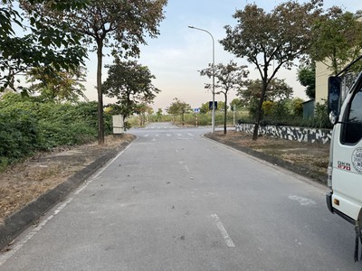 Bán Đất TĐC Kim Sơn Gia Lâm 80m2, Mặt Tiền 7,1m, Đường 11m, Giá Siêu Tốt 1