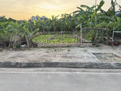 Bán Đất TĐC Kim Sơn Gia Lâm 80m2, Mặt Tiền 7,1m, Đường 11m, Giá Siêu Tốt 2