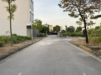 Bán Đất TĐC Kim Sơn Gia Lâm 80m2, Mặt Tiền 7,1m, Đường 11m, Giá Siêu Tốt 4