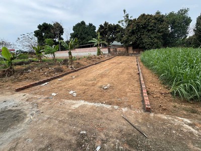 Chính chủ cần bán đất đồng bắc   kim long   tam dương   vĩnh phúc 0