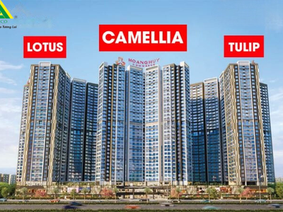Dịch Vụ Quản Lý Vận Hành Tòa Nhà Chuyên Nghiệp - Lexico 3