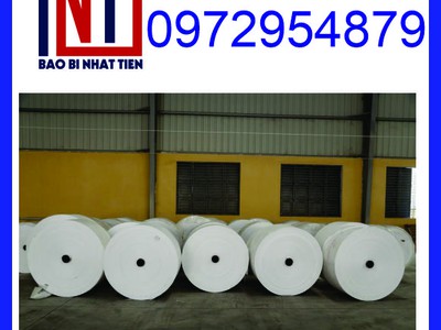 Cung cấp manh PP dệt dạng cuộn, manh PP để bọc thép 4