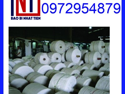 Cung cấp manh PP dệt dạng cuộn, manh PP để bọc thép 5