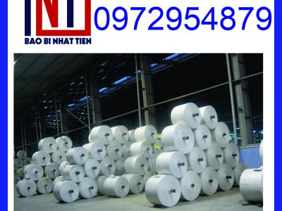 Cung cấp manh PP dệt dạng cuộn, manh PP để bọc thép 6