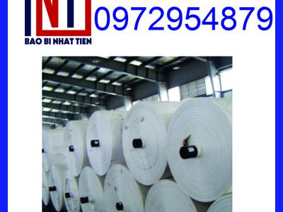 Cung cấp manh PP dệt dạng cuộn, manh PP để bọc thép 12