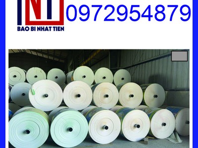 Cung cấp manh PP dệt dạng cuộn, manh PP để bọc thép 17