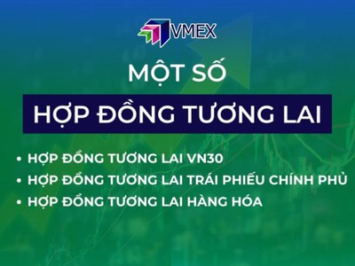 Hợp đồng tương lai tại Việt Nam 0