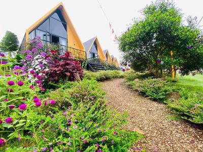 Bán 200m2 đất nghỉ dưỡng view hồ ngay trung tâm thành phố bảo lộc giá ngộp 4