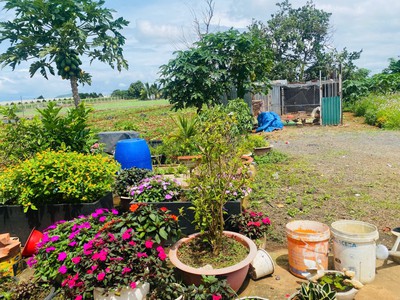 Bán 369m2 đất trần phú thị trấn liên nghĩa đức trọng lâm đồng giá 4.7 tỷ 2