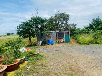 Bán 369m2 đất trần phú thị trấn liên nghĩa đức trọng lâm đồng giá 4.7 tỷ 3