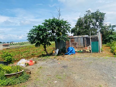 Bán 369m2 đất trần phú thị trấn liên nghĩa đức trọng lâm đồng giá 4.7 tỷ 4