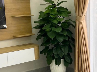Siêu phẩm nhà cấp 4 mới cứng hẻm xe hơi 5m thông hiệp phước , nhà bè, tặng full nội thất cao 3