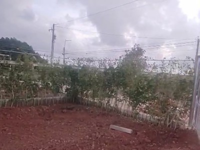 Chính chủ bán 2 lô đất liền kề đối diện kcn đất đỏ - mỗi lô 173m2, gần biển, chỉ 2,8 tỷ 1 lô 2