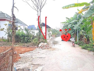 Đất 2 mặt đường phú ninh, hội thịnh - 106,7m2 ô tô tránh, sổ đỏ chính chủ chỉ 1,65 tỷ 3