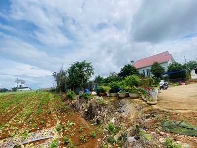 Bán 369m2 đất thị trấn liên nghĩa đức trọng lâm đồng giá 4tỷ700 triệu 2