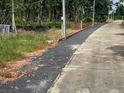 Chủ ôm hết nổi cần bán gấp vườn mít 175m có sẵn thổ cư ngay trung tâm chơn thành giá chỉ 6xxtr 2