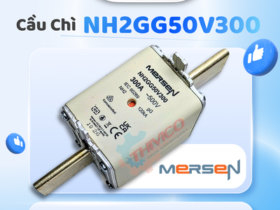 Cầu chì Mersen NH2GG50V300 0