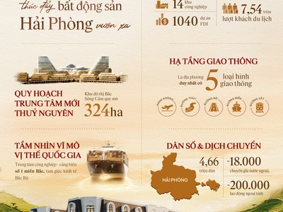  Nếu có 4 - 5 Tỷ, Bạn Sẽ Chọn Vlasta Thủy Nguyên Hay Khu Khác 1