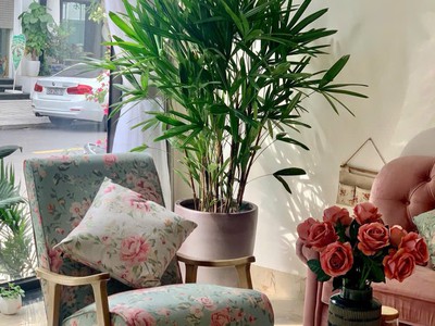 Cho Thuê Bán Biệt Thự Cao Cấp Tại Vinhomes Imperia Hải Phòng Full Nội Thất Hiện Đại 12