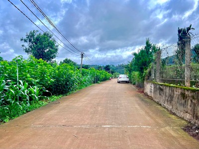 Cần Bán Đất Ven Đà Lạt 520m Có 250m Thổ Cư Mặt Tiền 14m, Cách Đường Nhựa Chỉ Vài Bước 3