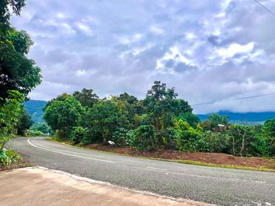 Cần Bán Đất Ven Đà Lạt 520m Có 250m Thổ Cư Mặt Tiền 14m, Cách Đường Nhựa Chỉ Vài Bước 2