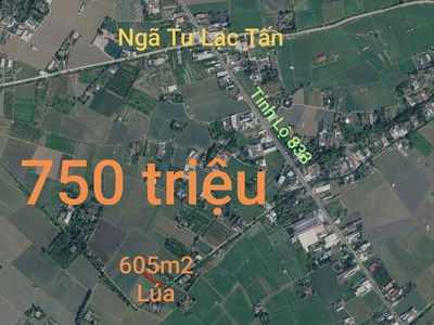 Bán lô đất lúa chuyển thổ đường bê tông 2,5m giá 750 triệu 1