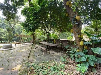 H2679   nhà vườn diện tích khủng 2247m2 sát kcx linh trung 3 - giá 7.x tỷ 2