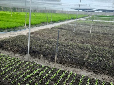 T2680 cơ hội đầu tư trang trại thu nhập 200tr/tháng sát bv an nhơn tây - giá 15.x tỷ 1