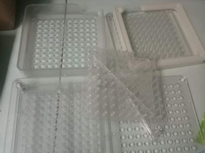 Khuôn đóng viên nang cứng, khay đóng viên nhộng, khuôn đóng viên, khay đóng viên 100v-200v 3