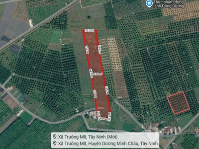 L2682 1.8ha đất trồng sầu riêng sát chợ truông mít - giá 5.x tỷ 0
