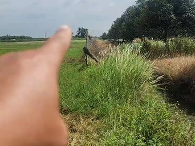 L2682 1.8ha đất trồng sầu riêng sát chợ truông mít - giá 5.x tỷ 1