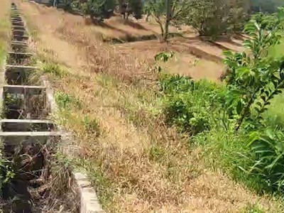 L2682 1.8ha đất trồng sầu riêng sát chợ truông mít - giá 5.x tỷ 2