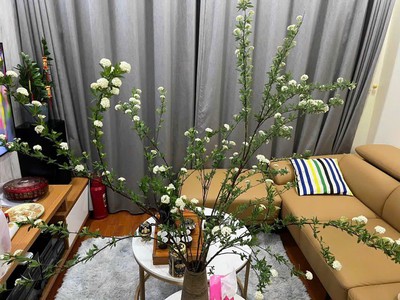 Bán căn hộ chung cư cổ nhuế 2 1