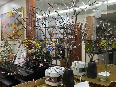 Bán căn hộ chung cư cổ nhuế 2 2