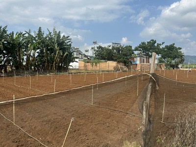 Bán 581m2 đất tổ 32 thị trấn liên nghĩa đức trọng lâm đồng giá 4.7 tỷ 2