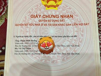 Bán gấp lô đất giá cực tốt thích hợp đầu tư hoặc xây biệt thự xinh xinh. 3